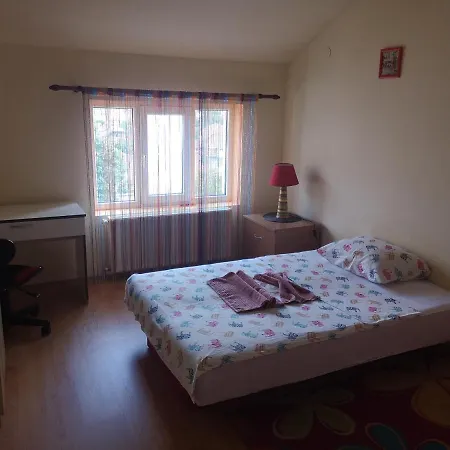 Stanimirovic Daire *