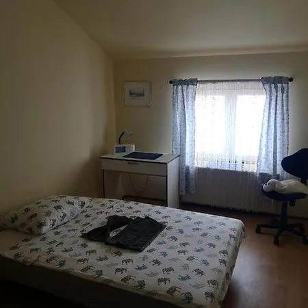 Stanimirovic Apartment *