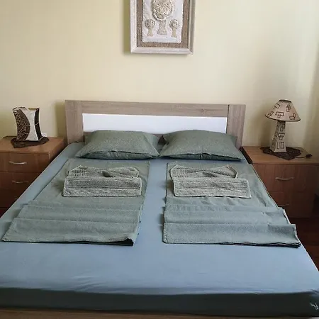 Stanimirovic Zaječar